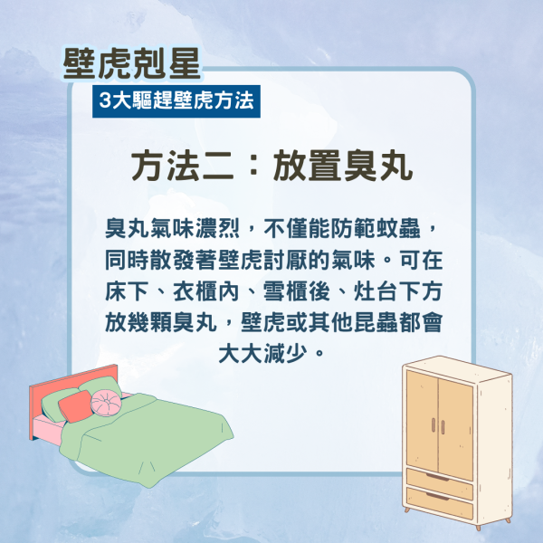 壁虎入屋｜壁虎吃甚麼？簷蛇天敵是誰？ 3大方法趕走不殺生