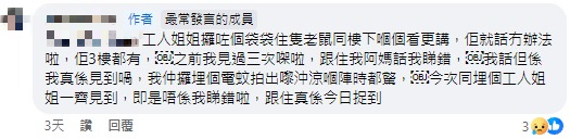 寶林邨老鼠闖屋內嚇壞住客：兩星期3隻老鼠入屋 網民提議5招滅鼠方法