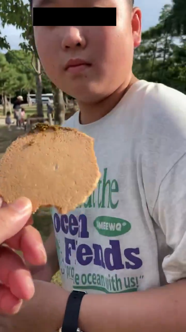 美女遊客1物俘虜40隻奈良鹿排隊爭寵 笑言連鹿餅都不用買