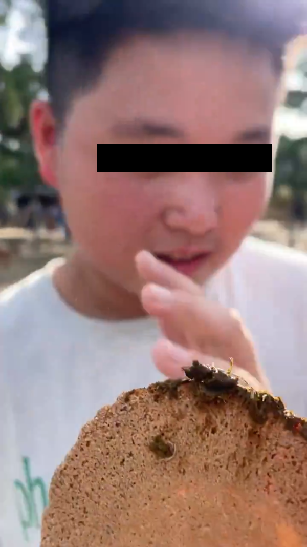 美女遊客1物俘虜40隻奈良鹿排隊爭寵 笑言連鹿餅都不用買