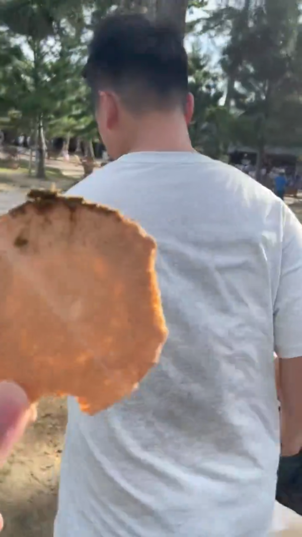 美女遊客1物俘虜40隻奈良鹿排隊爭寵 笑言連鹿餅都不用買