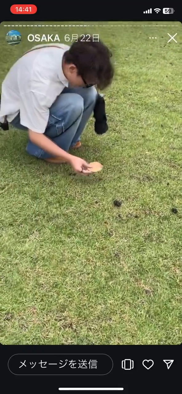 美女遊客1物俘虜40隻奈良鹿排隊爭寵 笑言連鹿餅都不用買