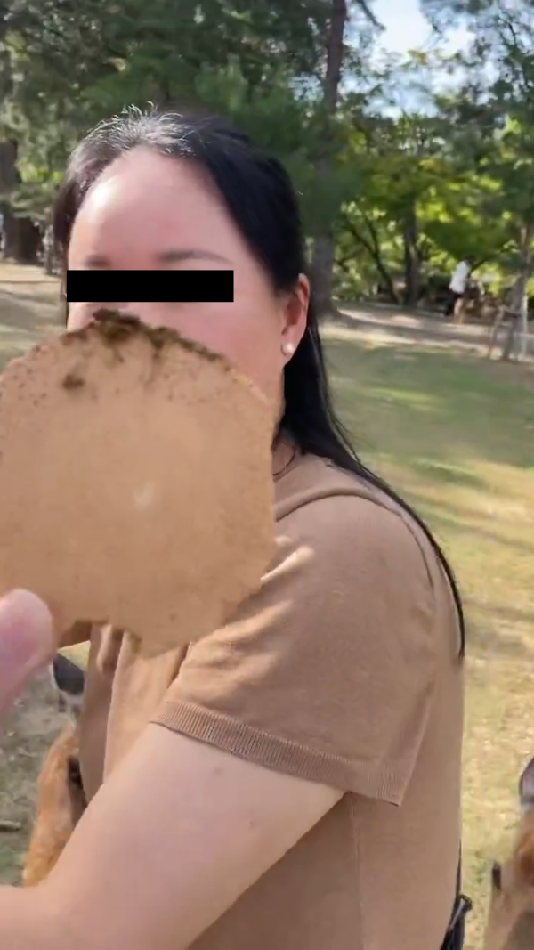 美女遊客1物俘虜40隻奈良鹿排隊爭寵 笑言連鹿餅都不用買