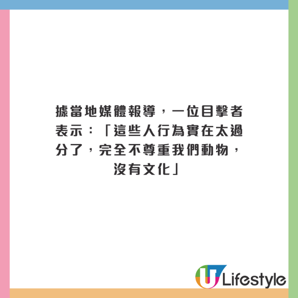 美女遊客1物俘虜40隻奈良鹿排隊爭寵 笑言連鹿餅都不用買