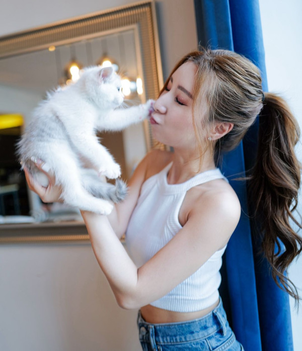 「貓奴」譚嘉儀屋企再添新成員 怕英國短毛貓「家姐」呷醋