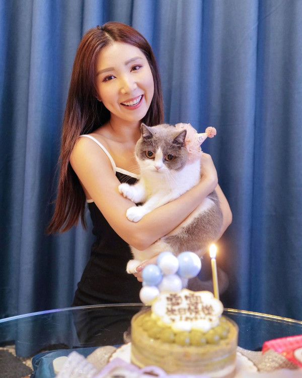 「貓奴」譚嘉儀屋企再添新成員 怕英國短毛貓「家姐」呷醋