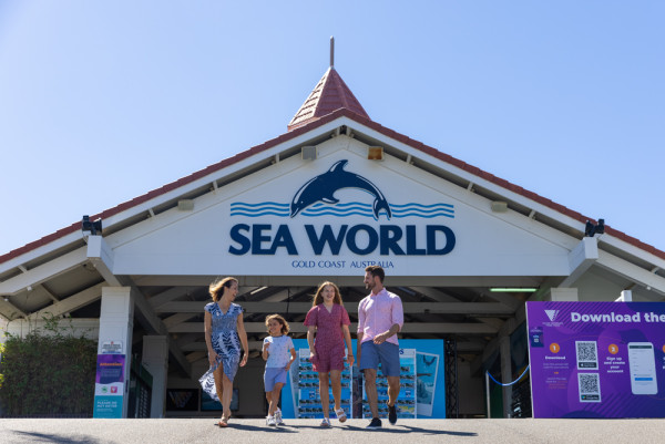 暑假親子遊首選 昆士蘭Chill級享受 海洋主題樂園+華納兄弟電影世界+賞鯨+農莊親親樹熊