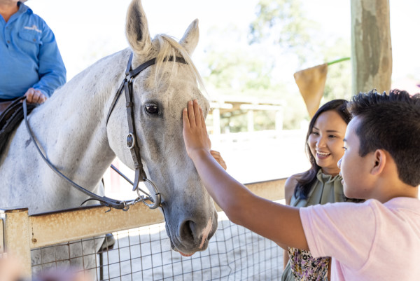 暑假親子遊首選 昆士蘭Chill級享受 海洋主題樂園+華納兄弟電影世界+賞鯨+農莊親親樹熊