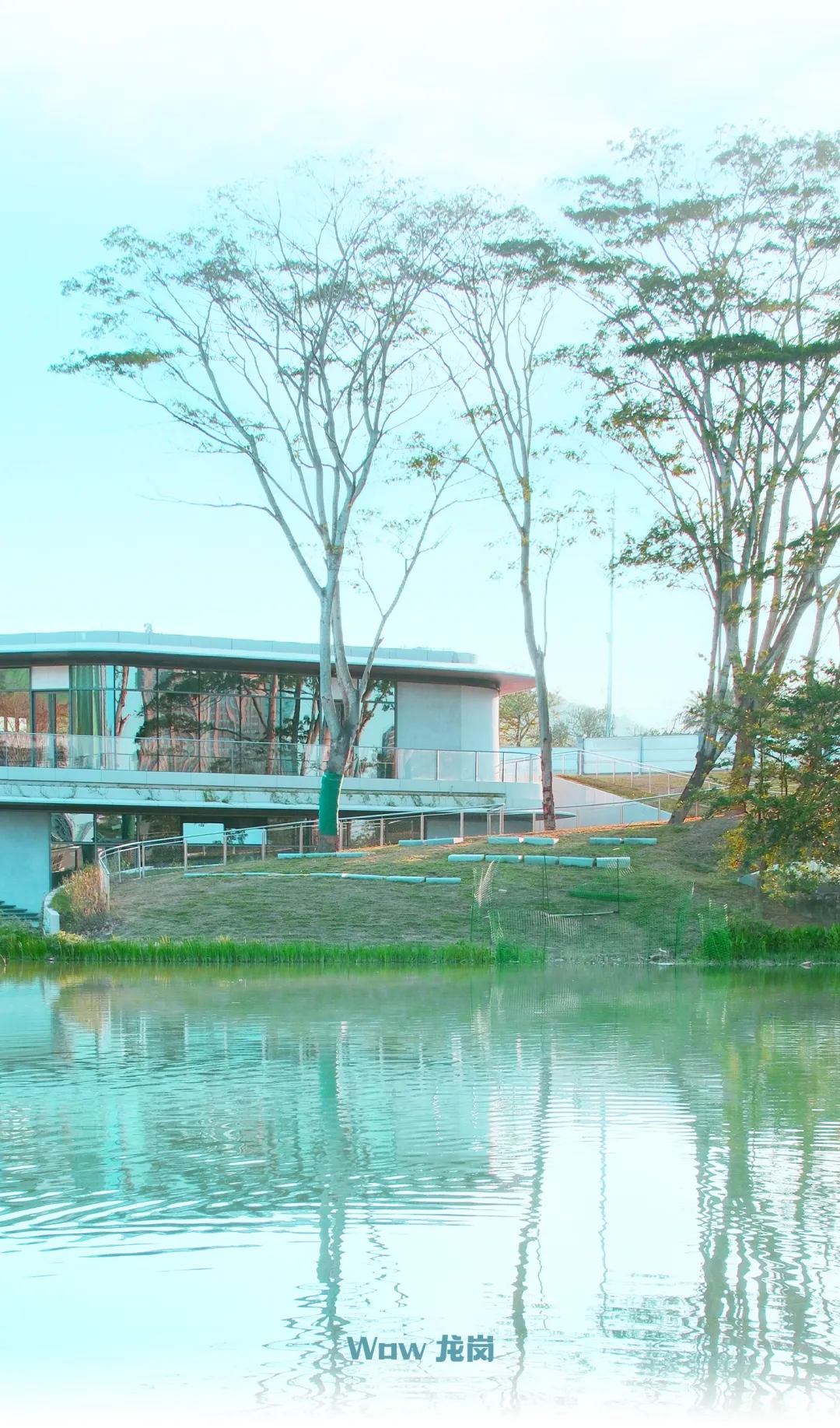 (圖片來源：官方)