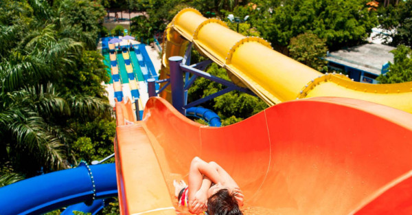 暑假必去!珠海長隆海洋王國、廣州長隆水上樂園 多達 15,000 條不同品種魚類/近 25 個玩水項目