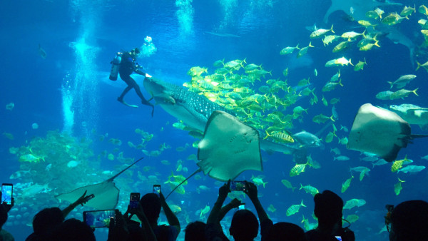 港車北上懶人包最新消息|2026 港車北上申請方法、條件、費用及流程