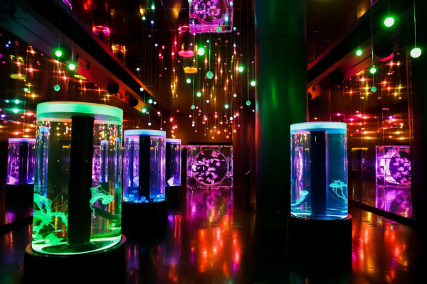 東京品川期間限定花火水族館 夜間海豚煙花騷/2日限定祭典 