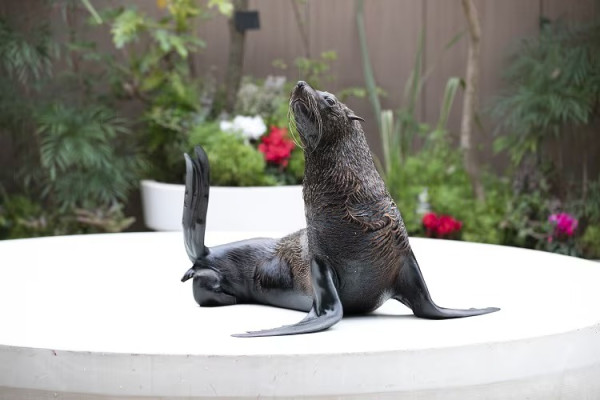 東京品川期間限定花火水族館 夜間海豚煙花騷/2日限定祭典 