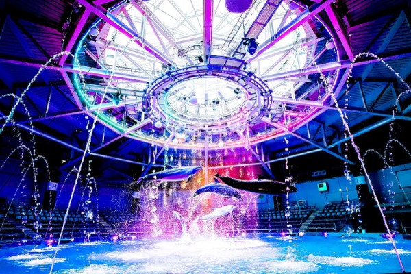 東京品川期間限定花火水族館 夜間海豚煙花騷/2日限定祭典 