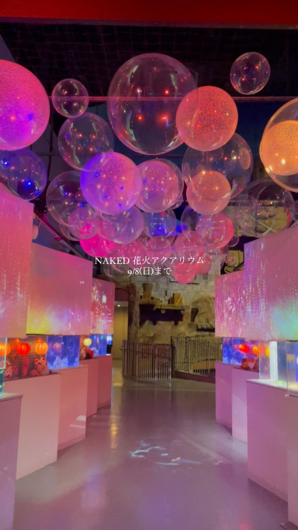 東京品川期間限定花火水族館 夜間海豚煙花騷/2日限定祭典 