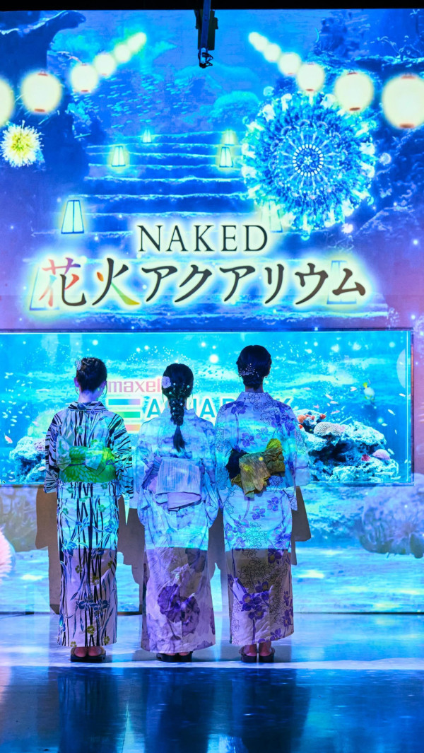 東京品川期間限定花火水族館 夜間海豚煙花騷/2日限定祭典 