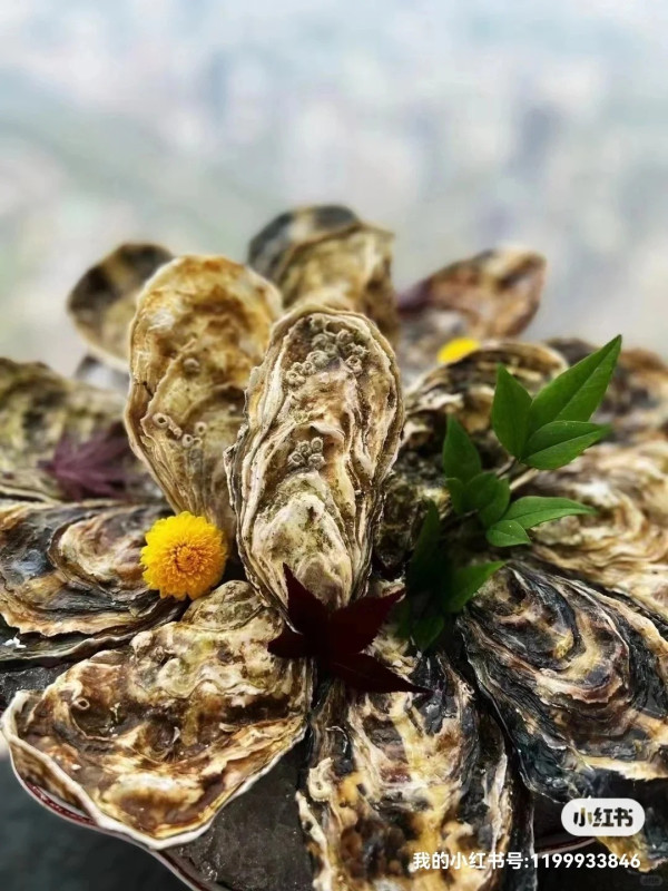 深圳好去處2026 | 歡樂海岸美食遊 16大人氣餐廳/甜品/茶飲推介 