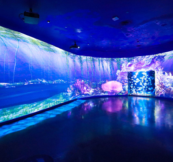 深圳好去處2026 | 歡樂海岸美食遊 16大人氣餐廳/甜品/茶飲推介 