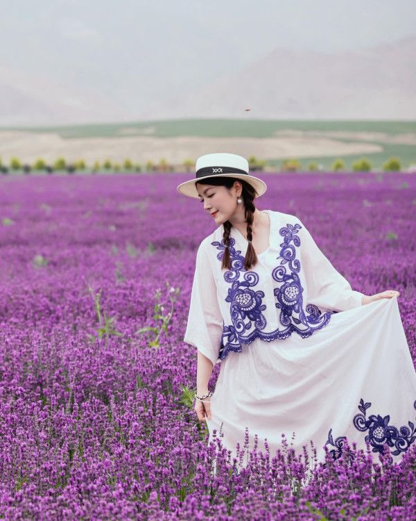 Lily Collins性感金裙現身首映禮！粉絲卻指顏值崩壞？ 