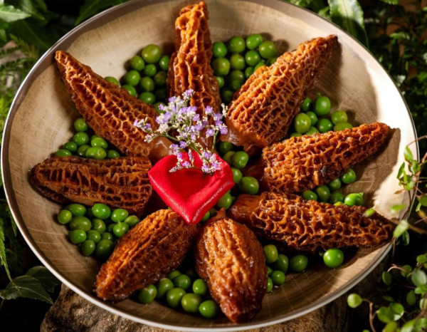 深圳海岸城美食一日遊推介！10大熱門人氣餐廳！附地鐵交通 