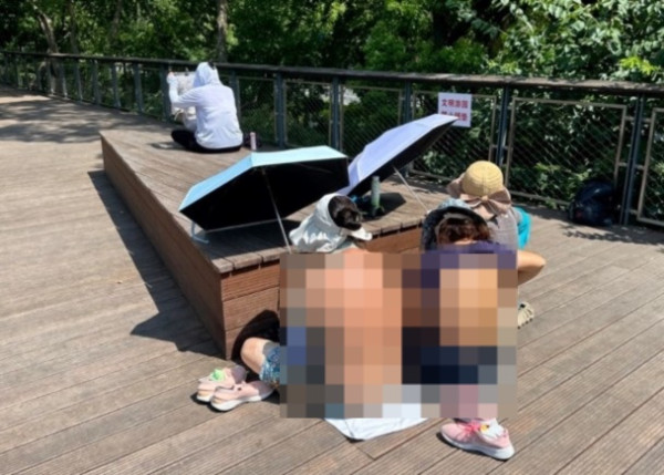 「曬背族」盛夏佔據上海公園 赤裸上身曬背遭投訴影響市容 