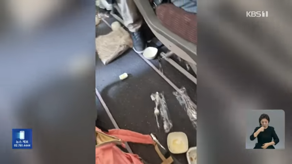 大韓航空遇亂流10人受傷!飛機艙一片狼籍畫面曝光