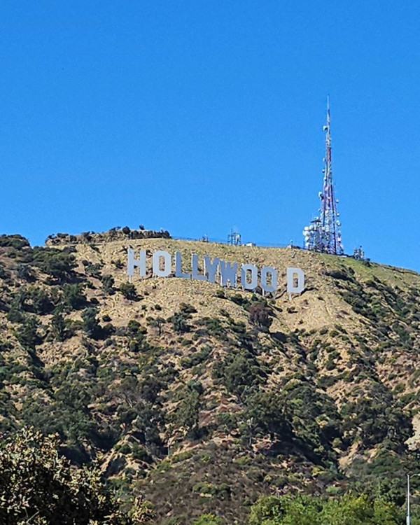 機師粉絲成功接載偶像張敬軒 大讚「太帥太nice」兼有一個部位好滑溜 