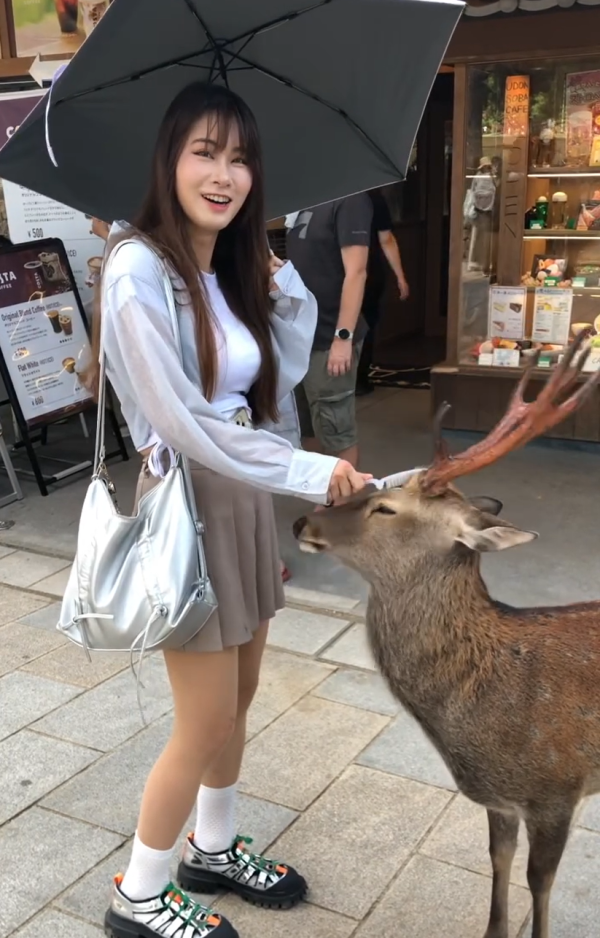 美女遊客1物俘虜40隻奈良鹿排隊爭寵 笑言連鹿餅都不用買