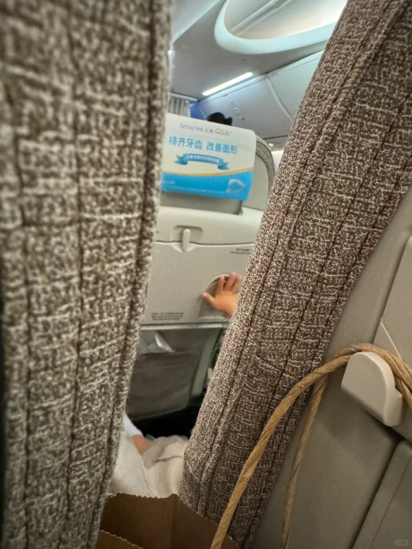 男童飛機上用膠袋大便！乘客正用餐！空姐仲要幫手咁做... 