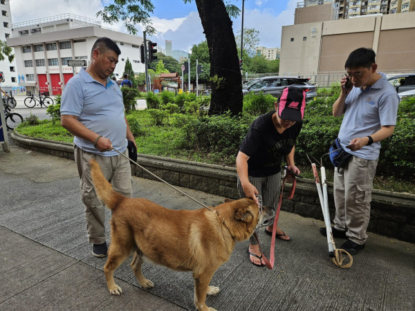 最後由狗主女傭到場領走狗狗。圖片來源：Facebook@毛守救援