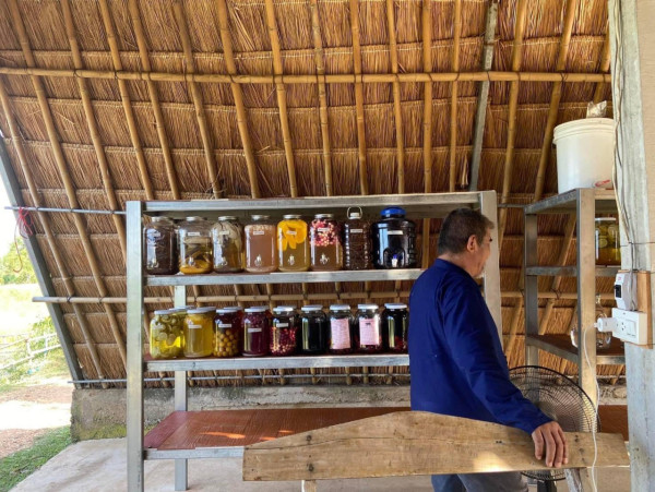 【飛女】泰國地道工藝酒 