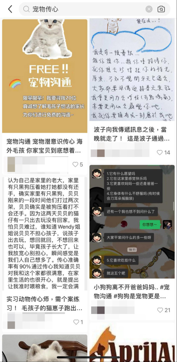 不少網民在社交平台分享寵物溝通用後感