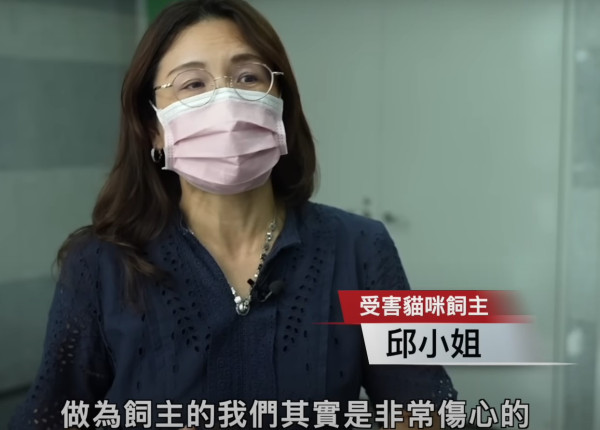 台灣爆寵物食品安全風波！3個月內爆164起家貓患低血鉀症 