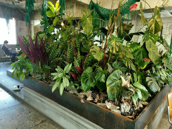 Anthracite coffee 首爾漢南洞攻略