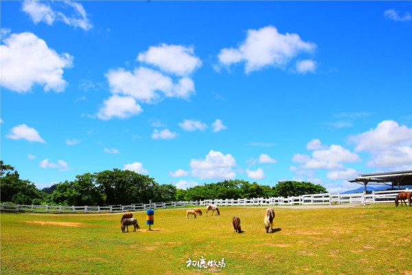 台灣親子遊景點 初鹿牧場(圖片來源:Facebook@初鹿牧場) 台灣親子遊景點 初鹿牧場(圖片來源:Facebook@初鹿牧場)
