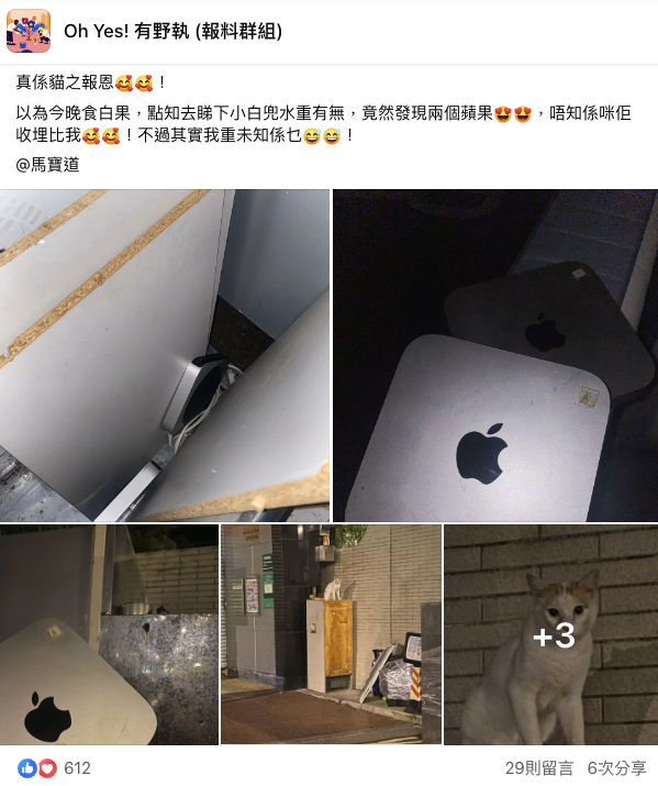 港版貓之報恩？港人餵食流浪貓後執到2部Apple產品。圖片來源：Facebook@Oh Yes! 有野執 (報料群組)