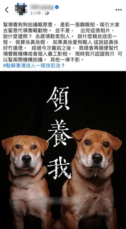 拯救動物｜兩狗獲救未尋獲領養 義工稱死線前無人領養「親自送佢哋一程」