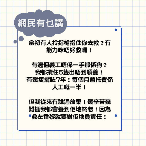 拯救動物｜兩狗獲救未尋獲領養 義工稱死線前無人領養「親自送佢哋一程」