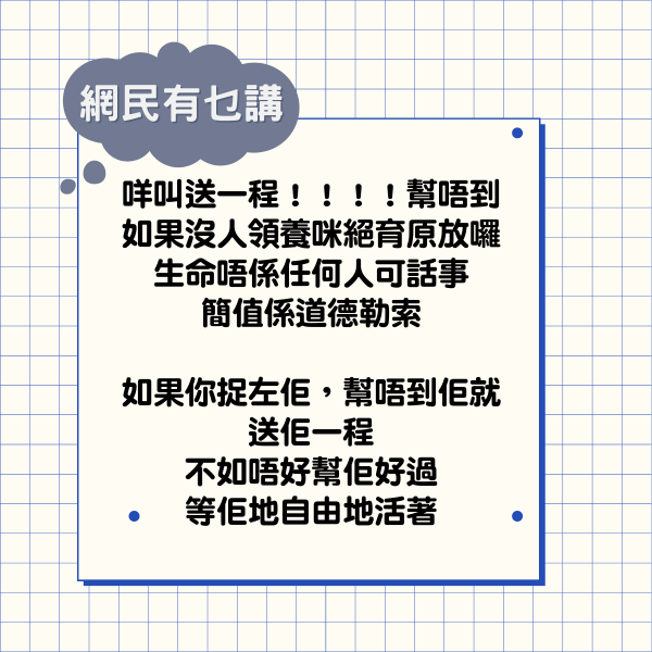 拯救動物｜兩狗獲救未尋獲領養 義工稱死線前無人領養「親自送佢哋一程」