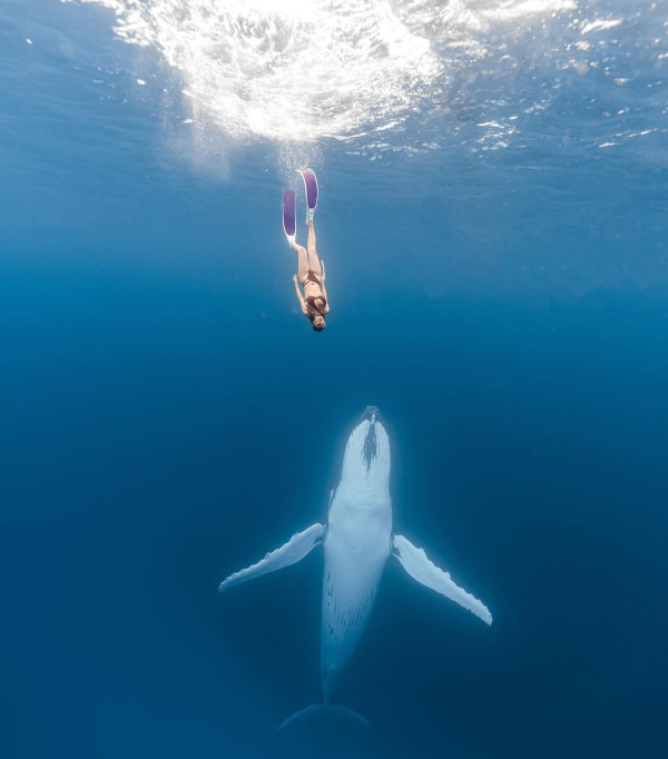 陳凱琳鄭嘉穎帶3個囝囝去泰國!著全紅色家庭裝勁溫馨!