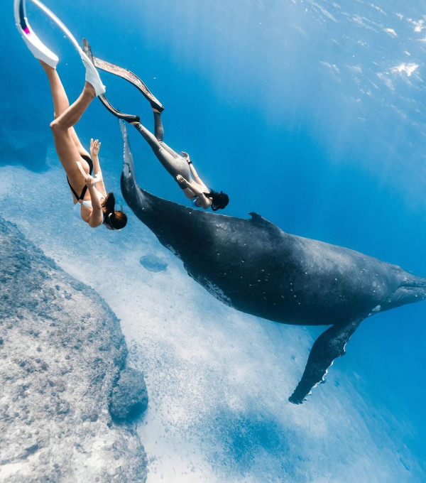 陳凱琳鄭嘉穎帶3個囝囝去泰國!著全紅色家庭裝勁溫馨!