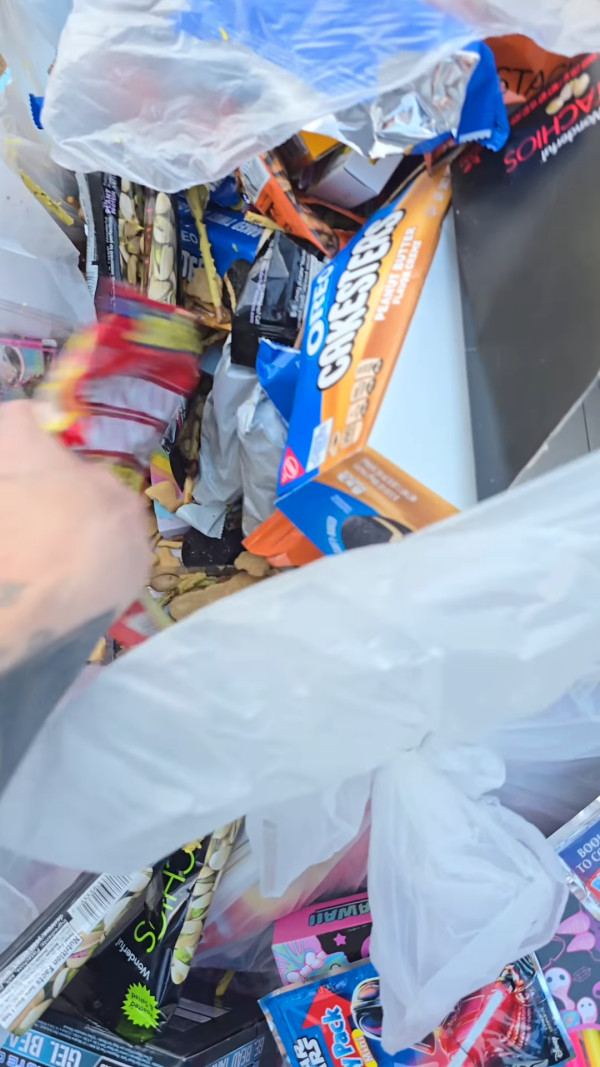每次花5至6小時在不同品牌商店的垃圾箱搜尋。（Instagram圖片）