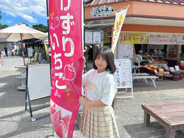 美心妹妹返日本讀書徵求香港手信建議 誤以為呢款零食係違禁品：點過關？ 