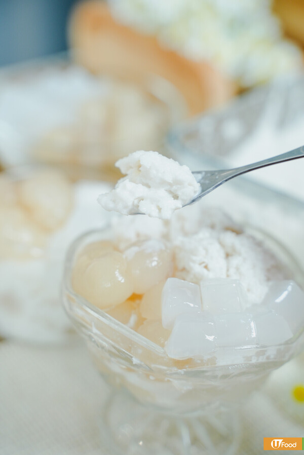 龍眼椰果冰食譜｜零失敗！夏天消暑一流／冰涼爽甜