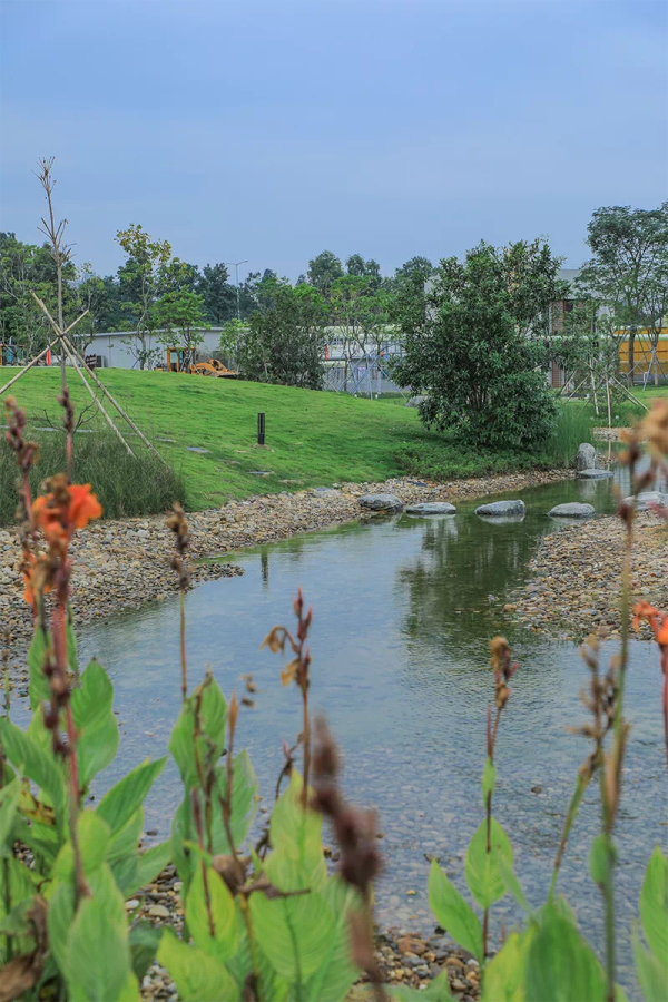 樓村濕地公園（圖片來源：深圳政府在線）