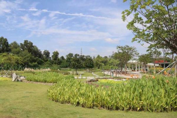 樓村濕地公園（圖片來源：深圳政府在線）