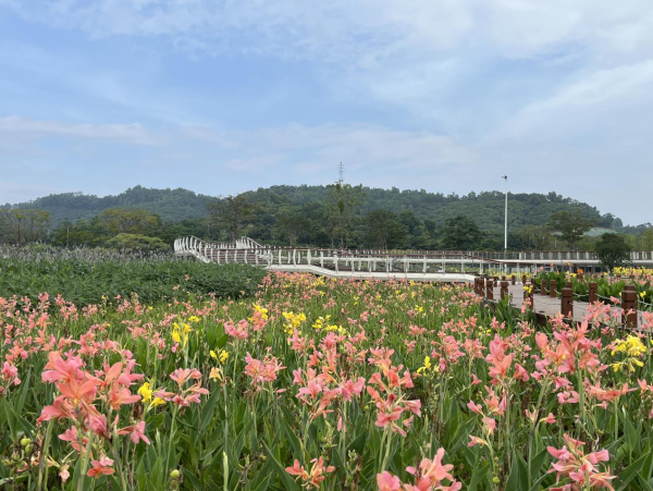 樓村濕地公園（圖片來源：深圳政府在線）