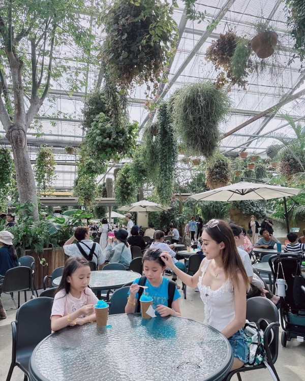 黃心妙遊大阪網紅Cafe瘋狂打卡 疑真空上陣自拍畫面震撼 