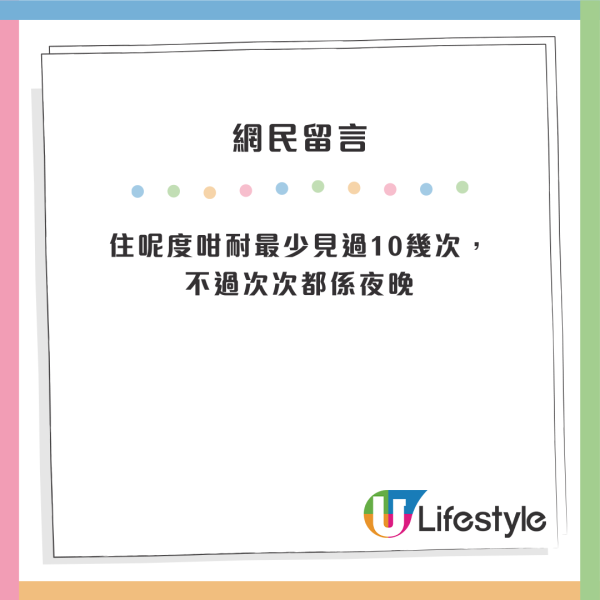 情侶夜闖輕鐵站路軌影相打卡 仲有母子電車前打卡！網民怒斥知法犯法：好心唔好害司機啦