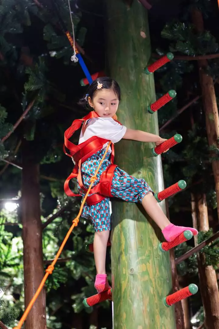 深圳人氣木育森林全木製室內遊樂園  40多種遊樂設施！樹屋歷奇／飛索／攀岩 
